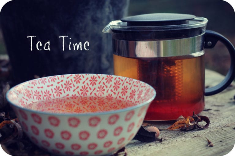 La tisane de baies d'églantier 12 coverunetisanedeglantier 1