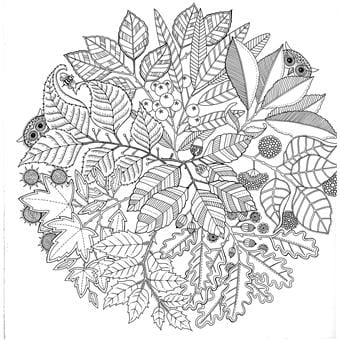 Carnet Coloriage Jardin Secret