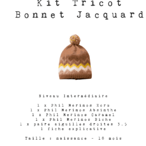 Kit broderie DIY débutant Antartica We Are Knitters